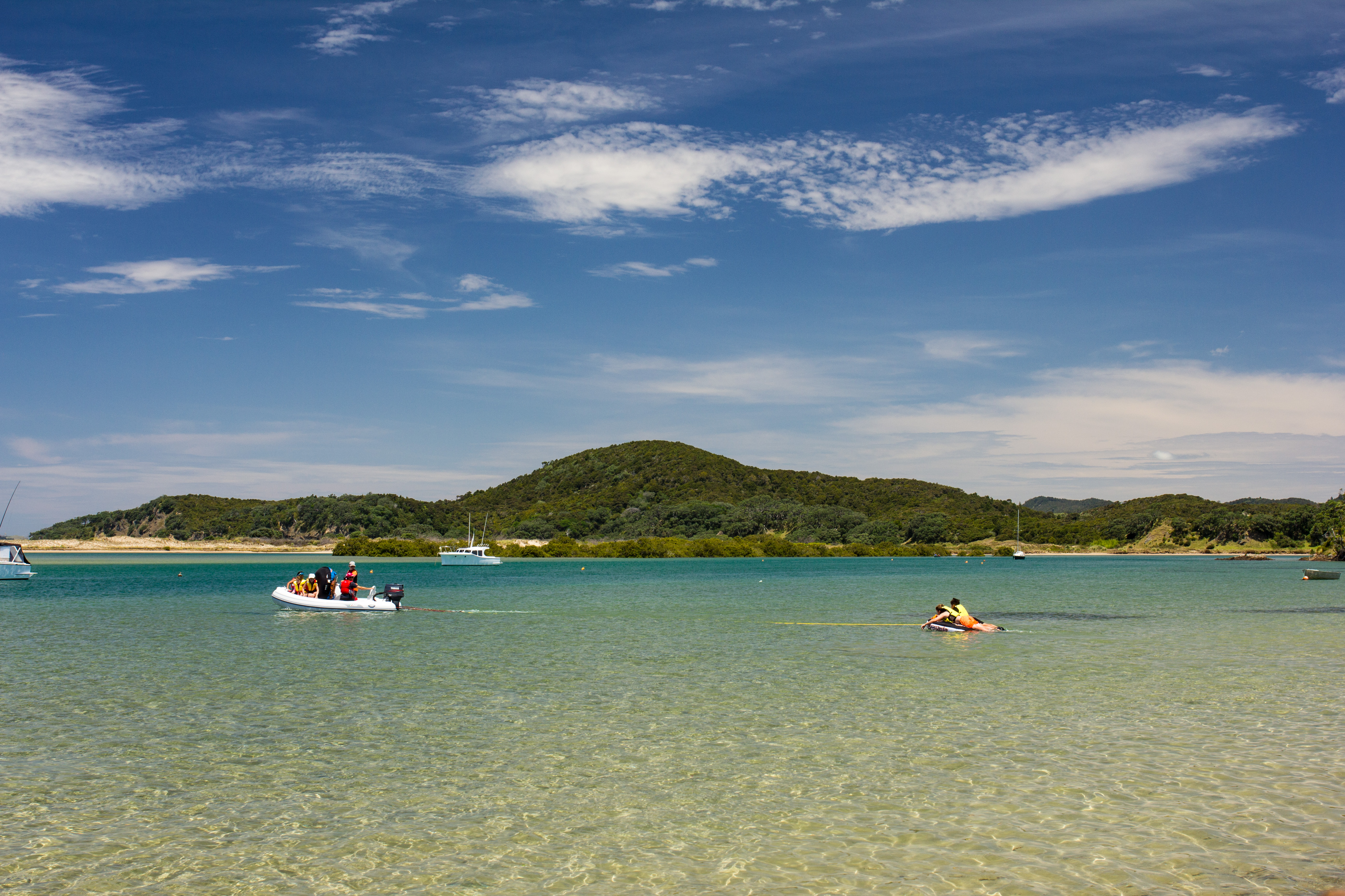 Ngunguru Estuary