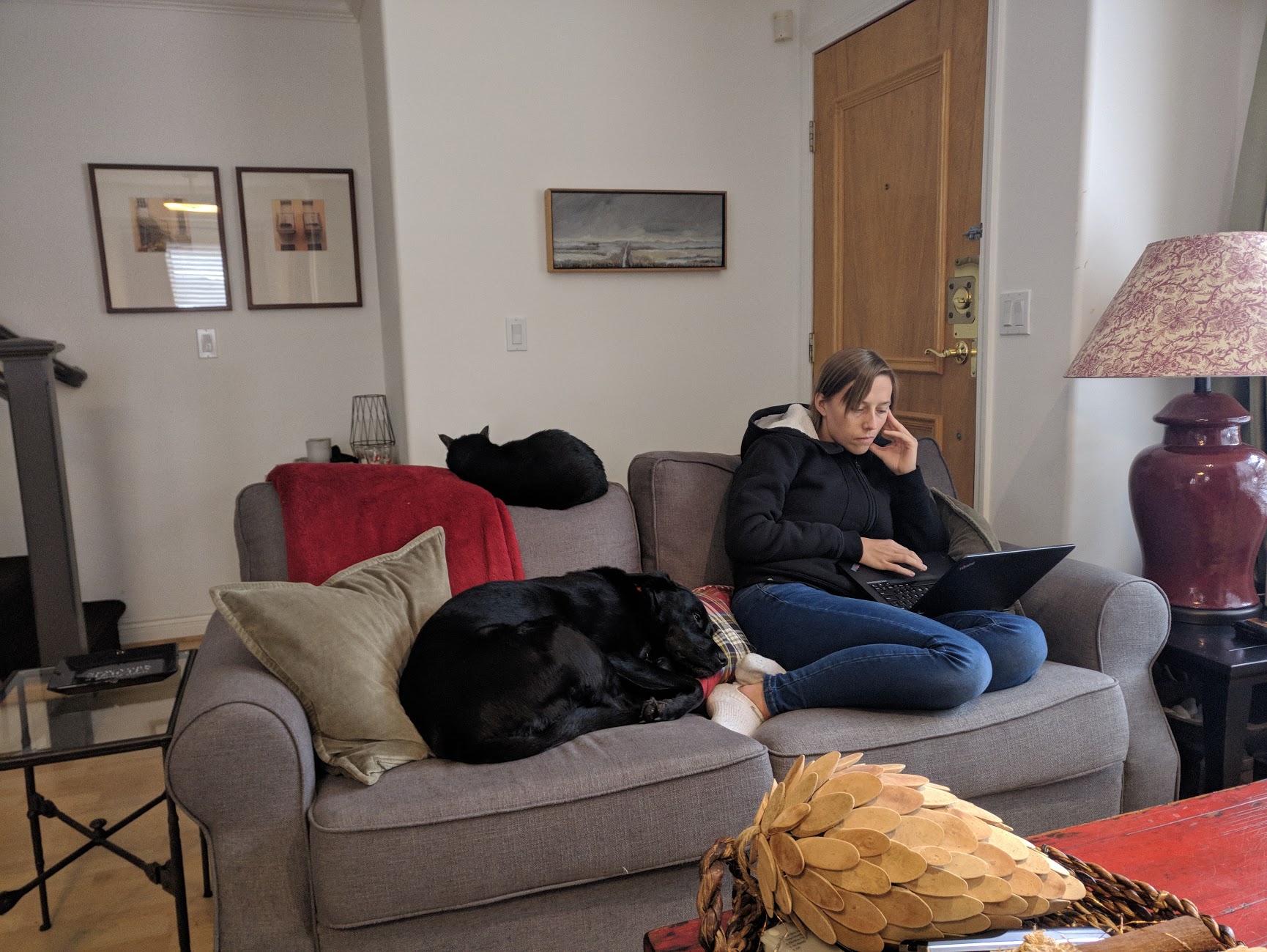 Mollie, Oscar and Katie
