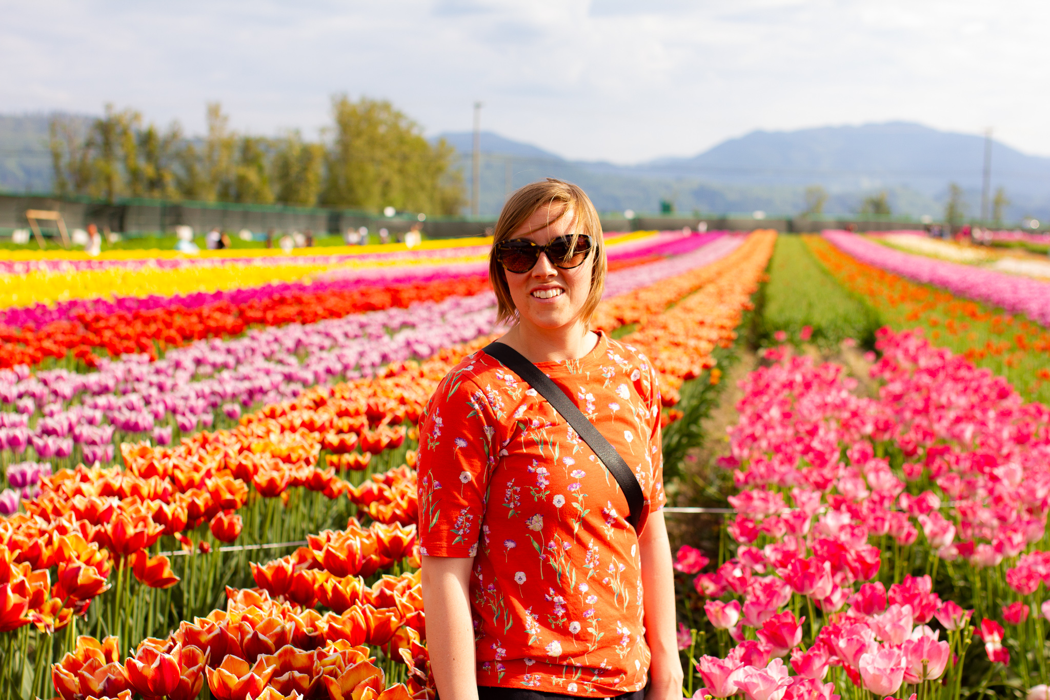 Tulips