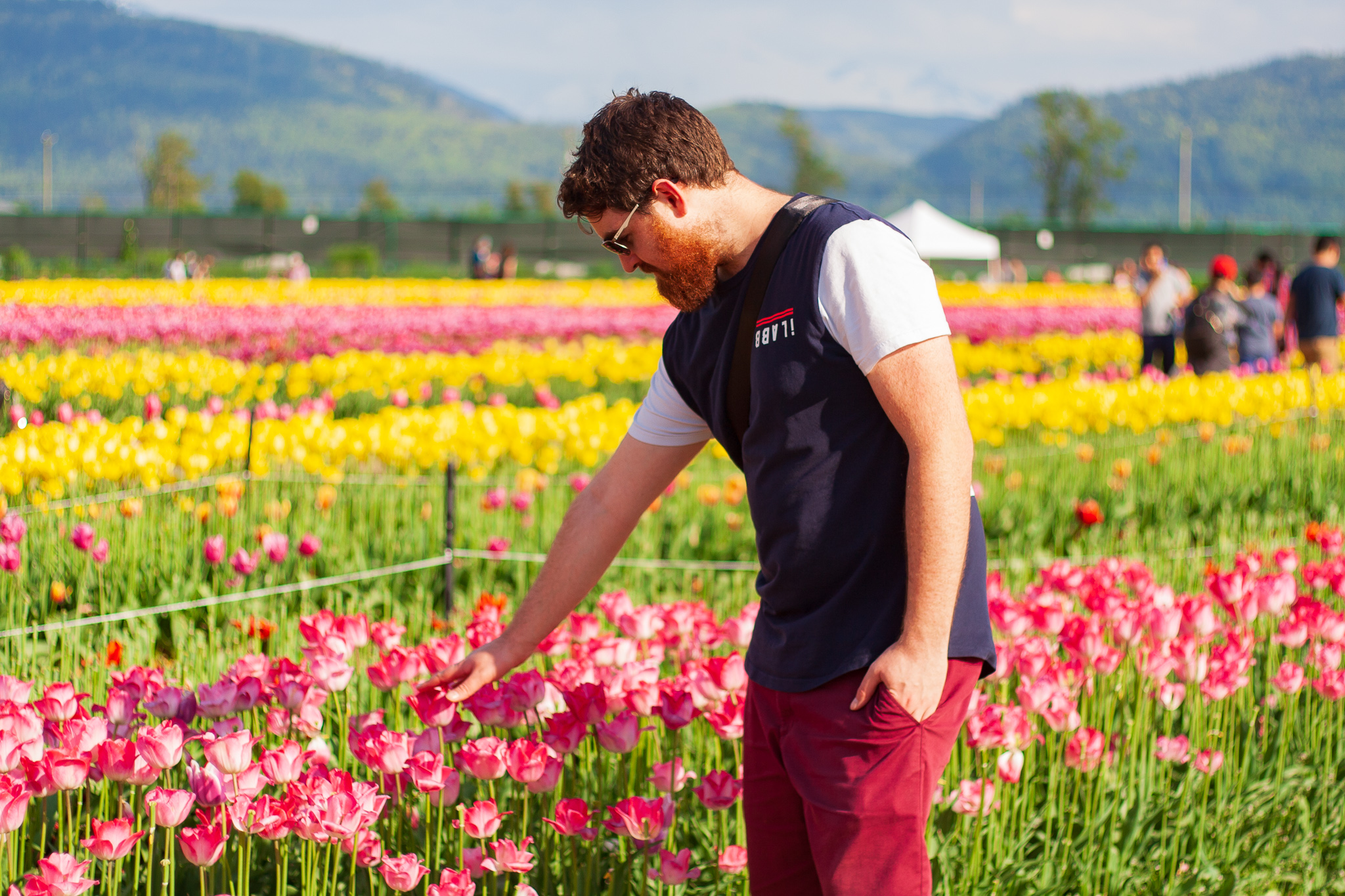 Sean patting the tulips