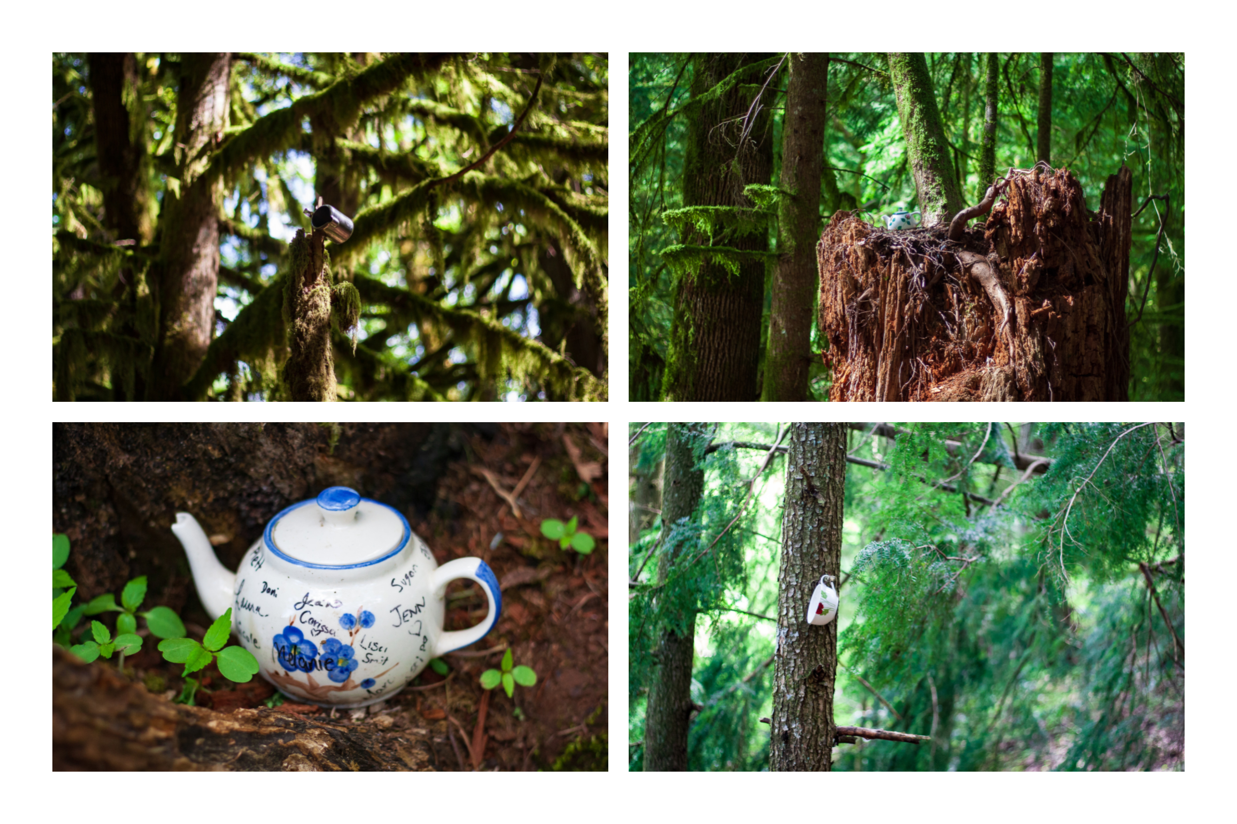 Teapots