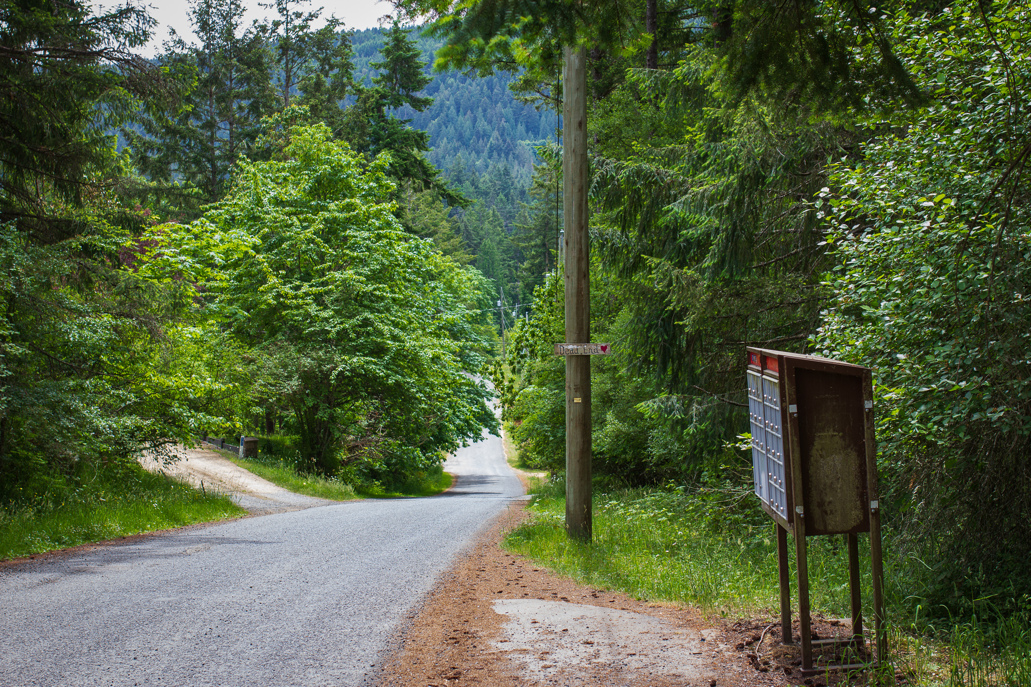 Shady Lane