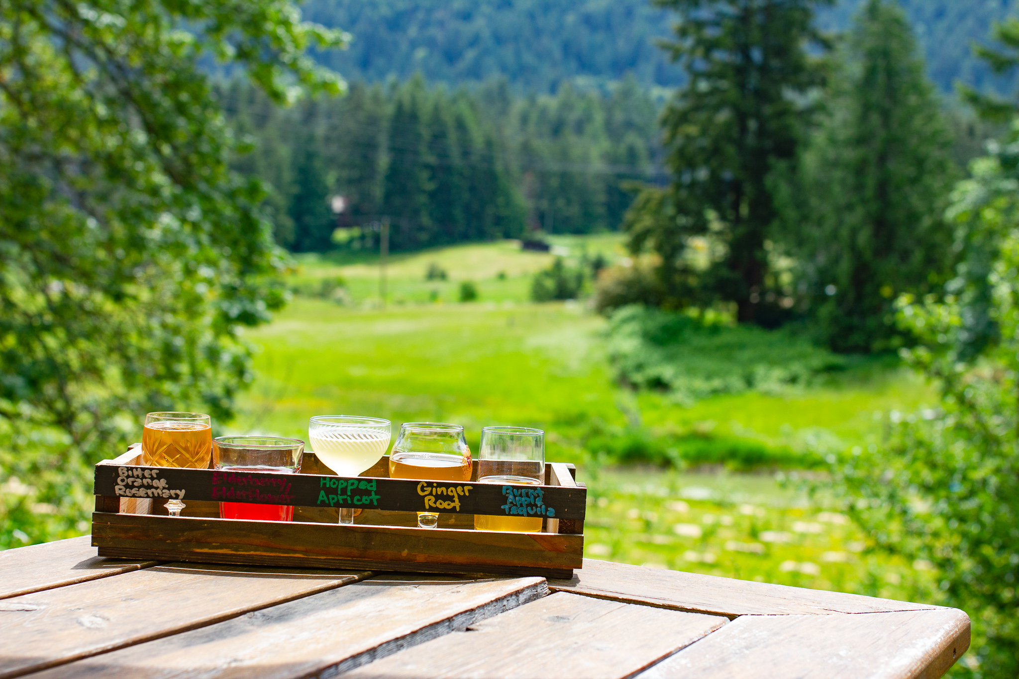 Cider flight