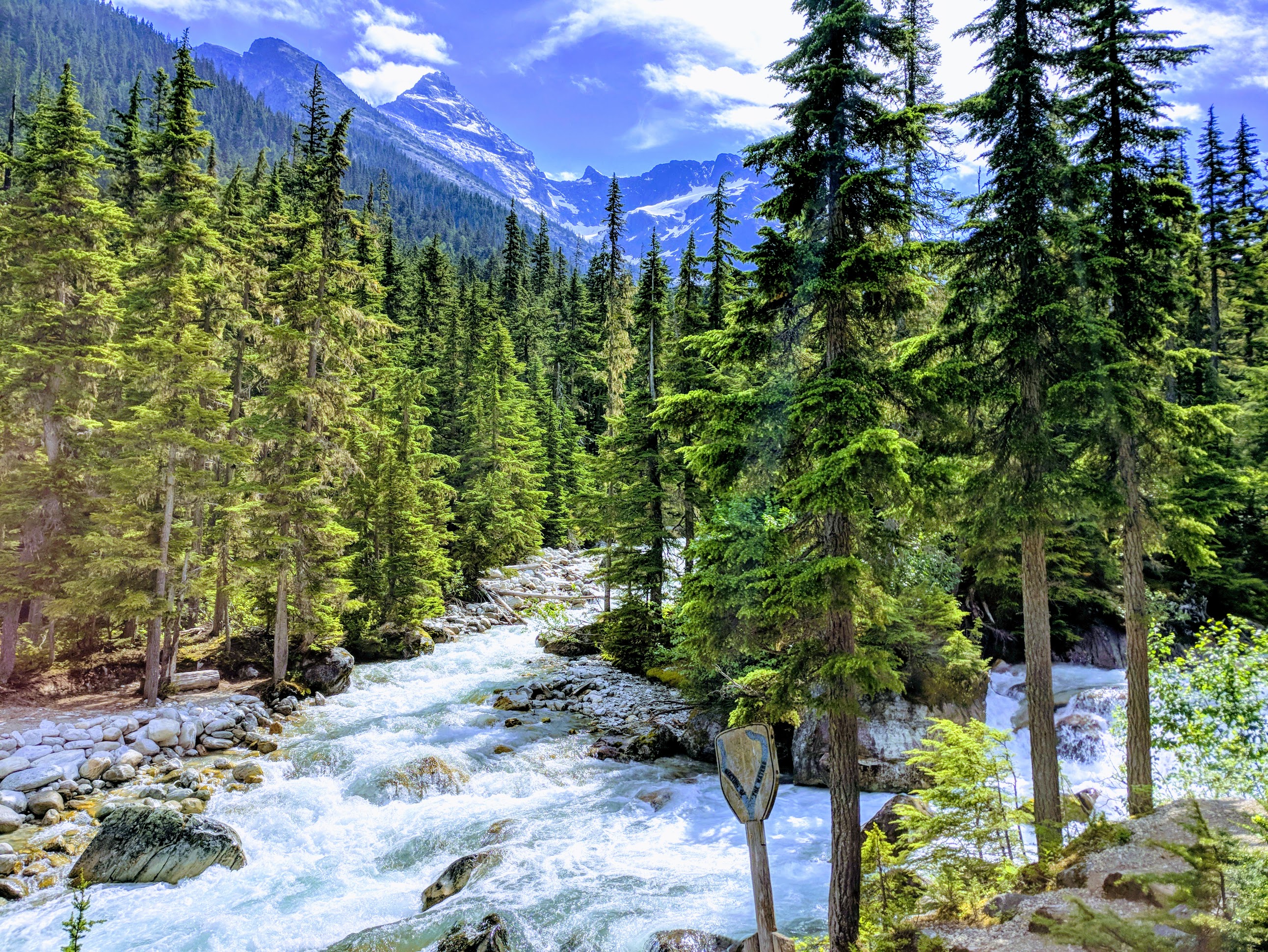 Road Trip - Kicking Horse