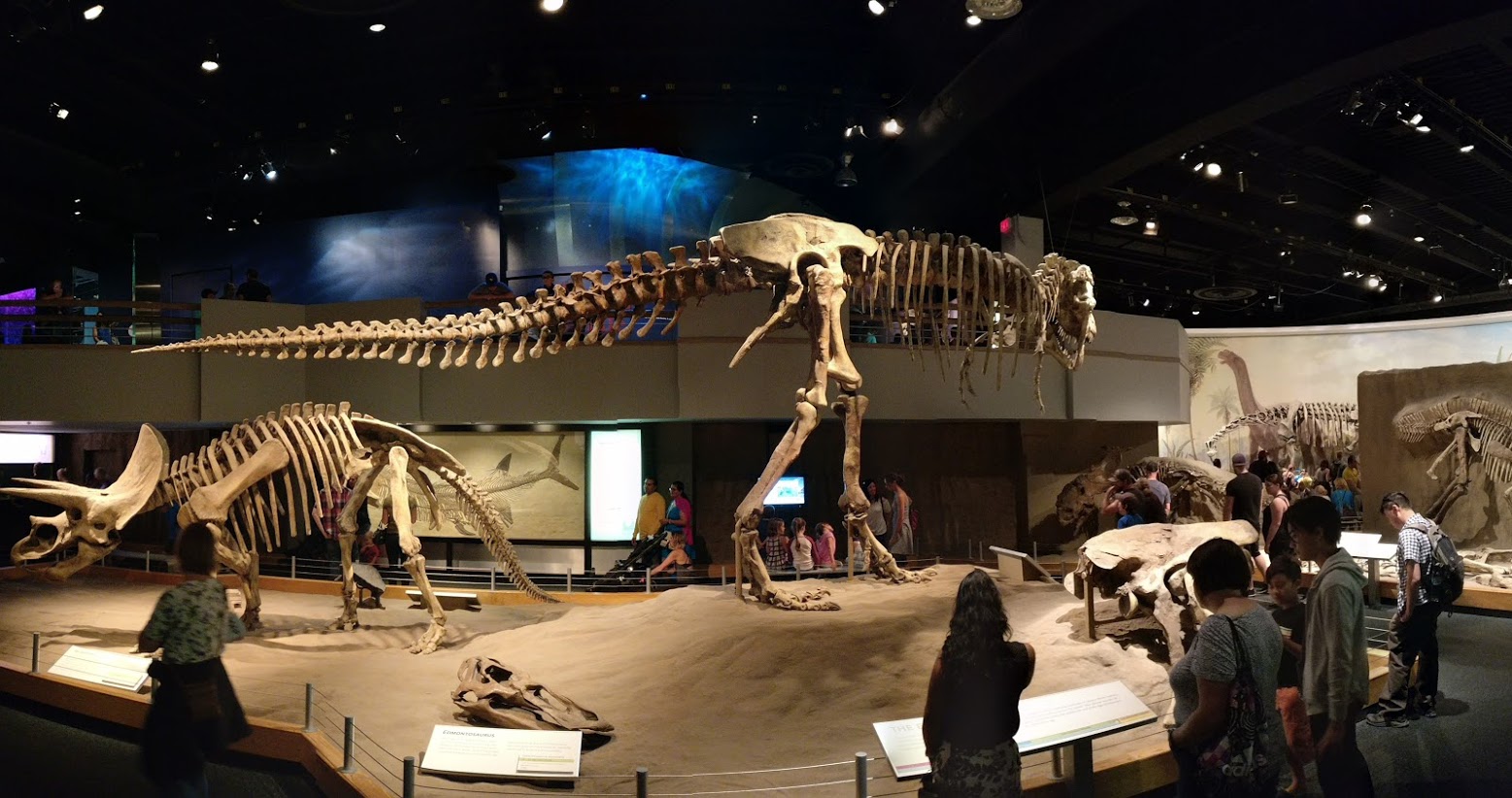 PANO_20180714_150017--1-