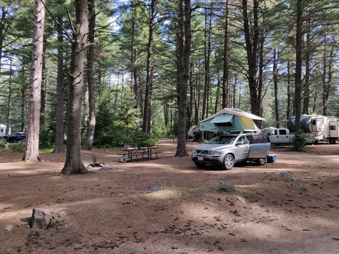 Road Trip - Algonquin Day 1